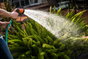 Need a Garden Hose for Summer? Compare Continental Hoses Now with Our New Line Card
